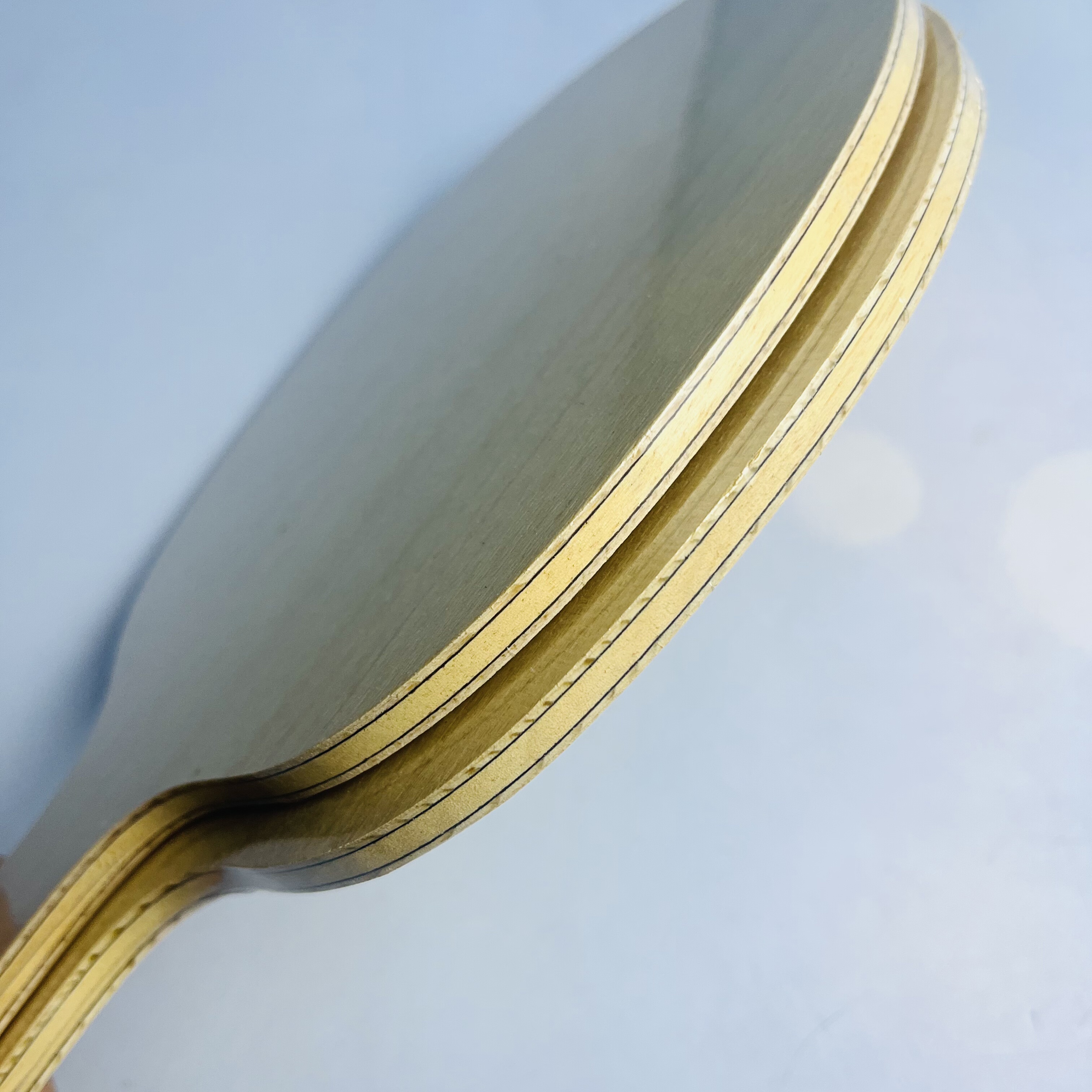 Table Tennis Blade with Limoni - Table Tennis Launcher ulasan dan harga