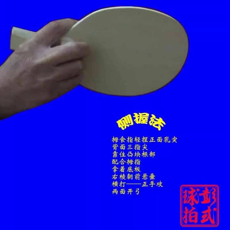 Chinese/Japanese Style Table T - Table Tennis In Chinese ulasan dan harga