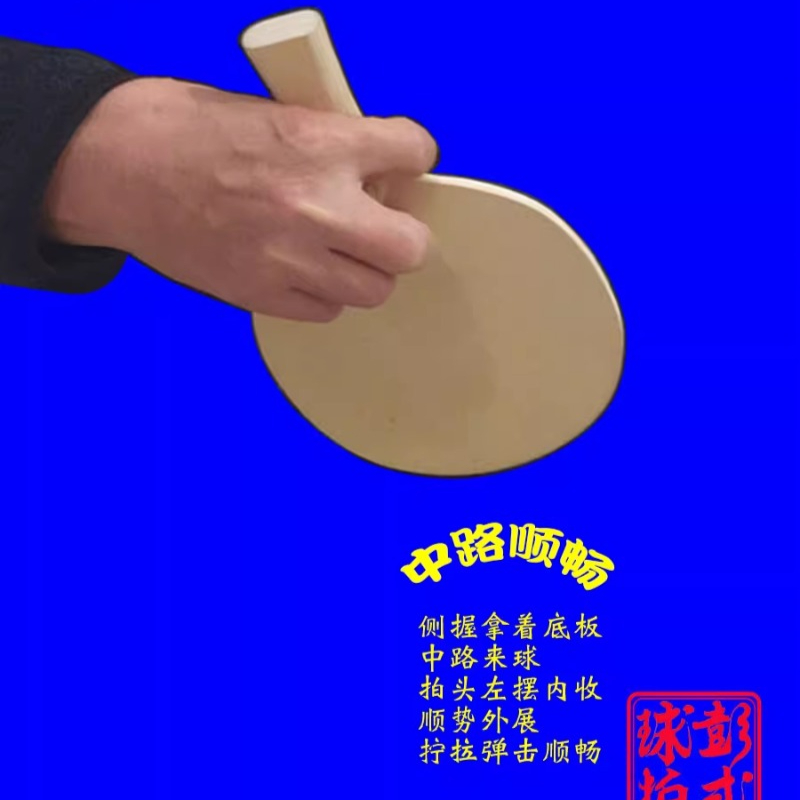 Chinese/Japanese Style Table T - Table Tennis In Chinese ulasan dan harga