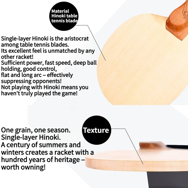 Shenlongmu 1-Ply Hinoki Table  - Table Tennis In Chinese ulasan dan harga